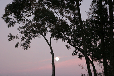 Fine art photography of Hilton Head and Lowcountry South Carolina by Willie J Rice