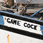 Game Cock Willie J Rice Photography