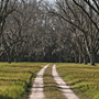 Old Dirt Road Willie J Rice Photography