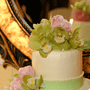 Willie J Rice Wedding Photography